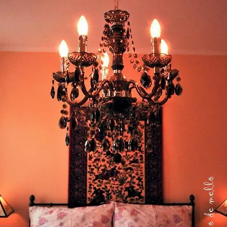 Buda Panzio B&B