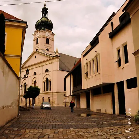 فندق مبيت وإفطار Buda Panzio غيور