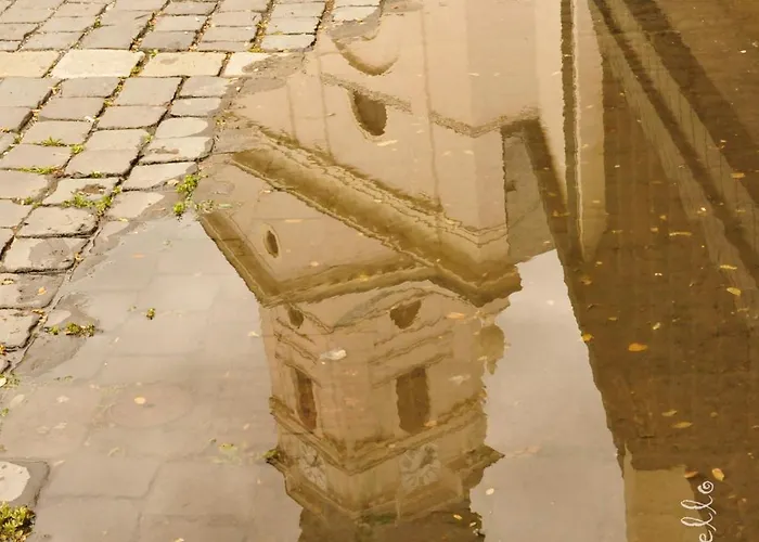 Buda Panzio Győr